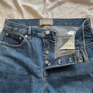 Everlane The 90s Cheeky Jean Medium Blue 28 Crop